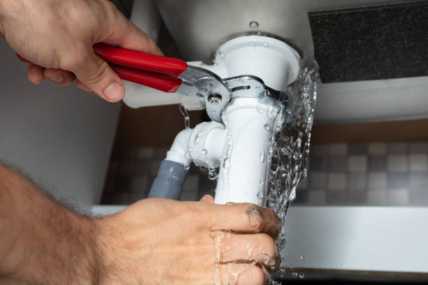 Best Flood restoration services  in Rupert, WV