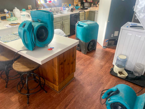 Trusted Rupert, WV Water damage restoration Experts