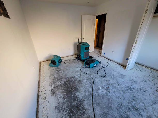 Best Local water damage restoration  in Rupert, WV