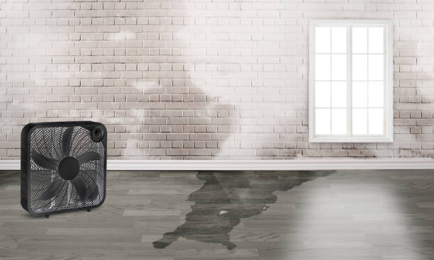  Rupert, WV Water damage restoration Pros
