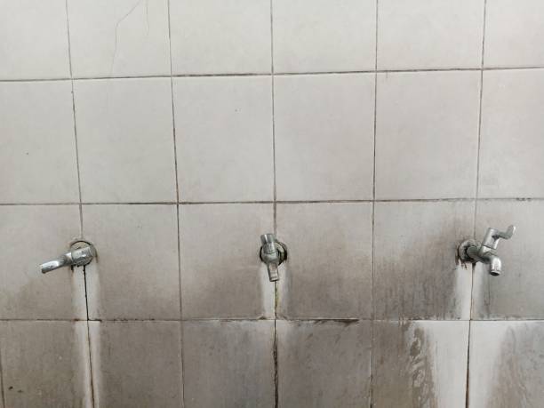 Best Water damage cleanup near me  in Rupert, WV
