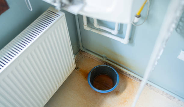 Best Water damage restoration company  in Rupert, WV