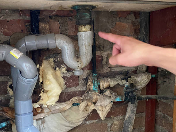 Best Flooded house restoration  in Rupert, WV