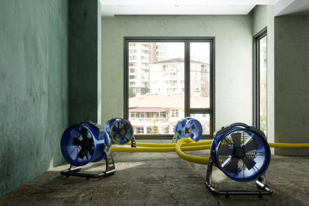 Best 24/7 water damage repair  in Rupert, WV
