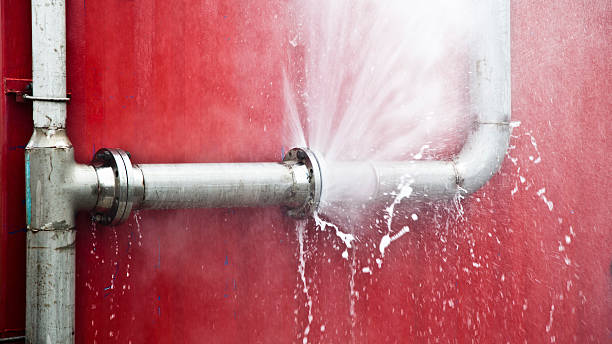 Best 24-hour water damage restoration  in Rupert, WV